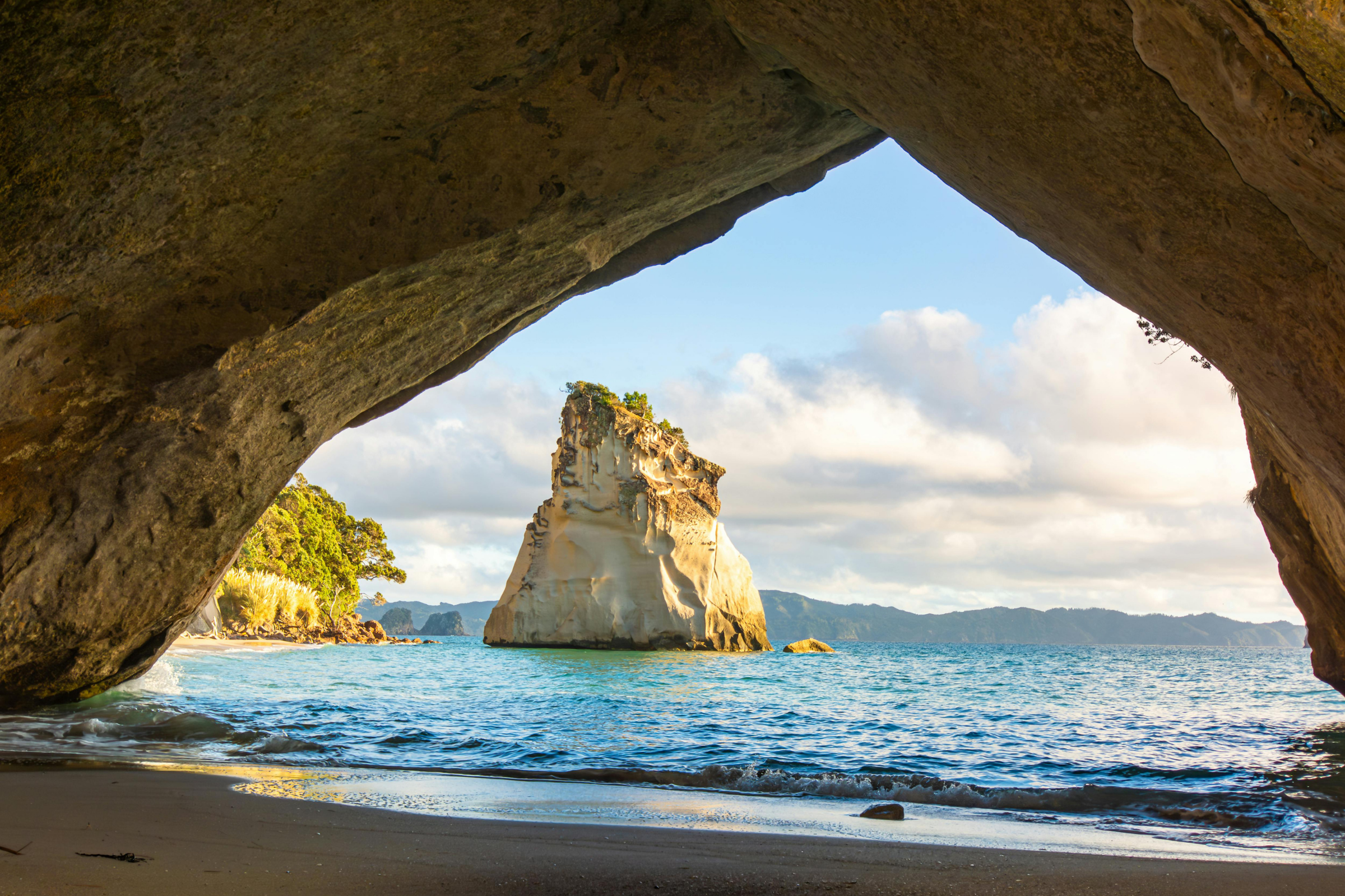 campbell island (2).webp